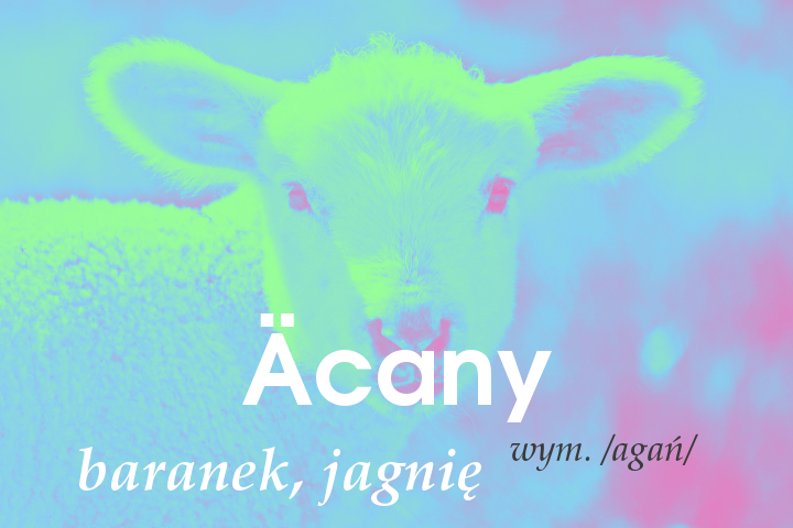 Acany.png